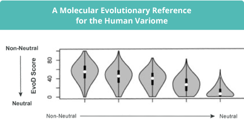 A molecular evolutionary reference for human variome slide